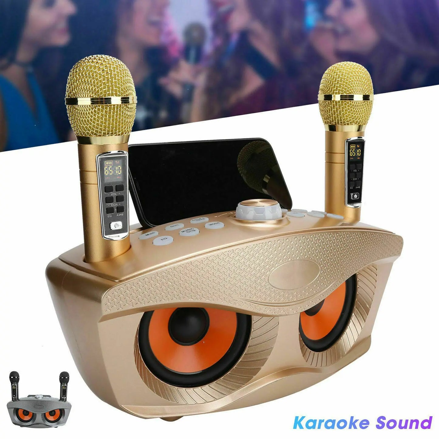 SD306Plus Professional Karaoke Machine Wireles Bluetooth Speaker