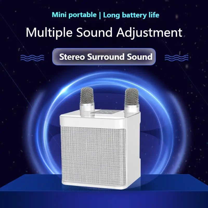 10W Powerful Wireless Portable Dual Microphone