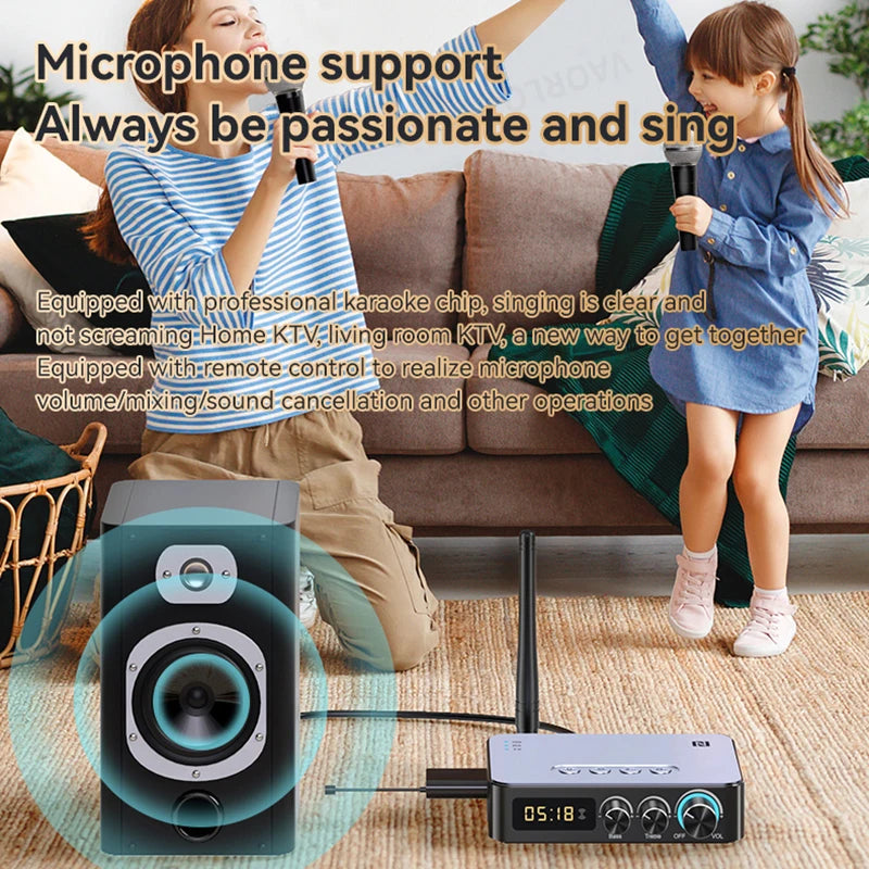 Bluetooth Audio Receiver Transmitter DSP Wireless Adapter