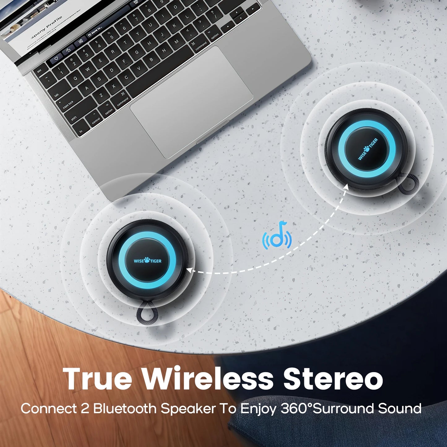 Bass Boost TWS Dual Pairing BT5.3 Outdoor Wireless Speaker