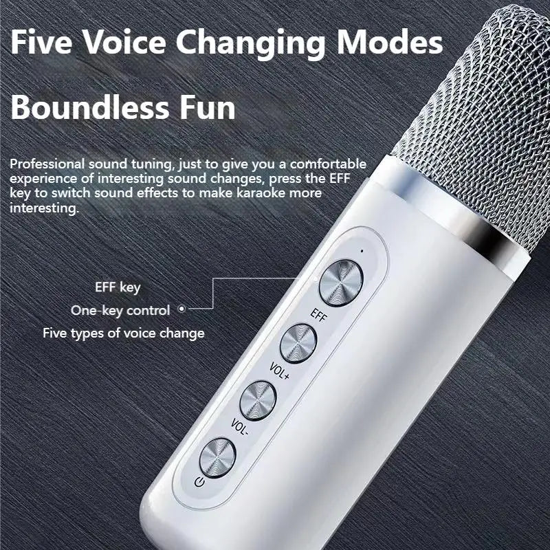 10W Powerful Wireless Portable Dual Microphone