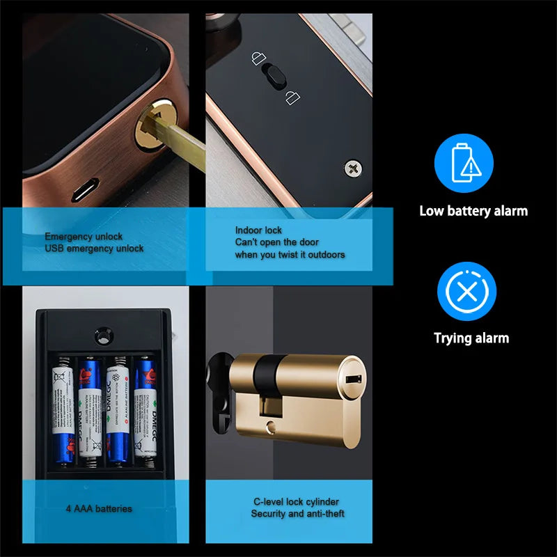 Wifi Electronic Smart Door Lock With Biometric Fingerprint / Smart Card