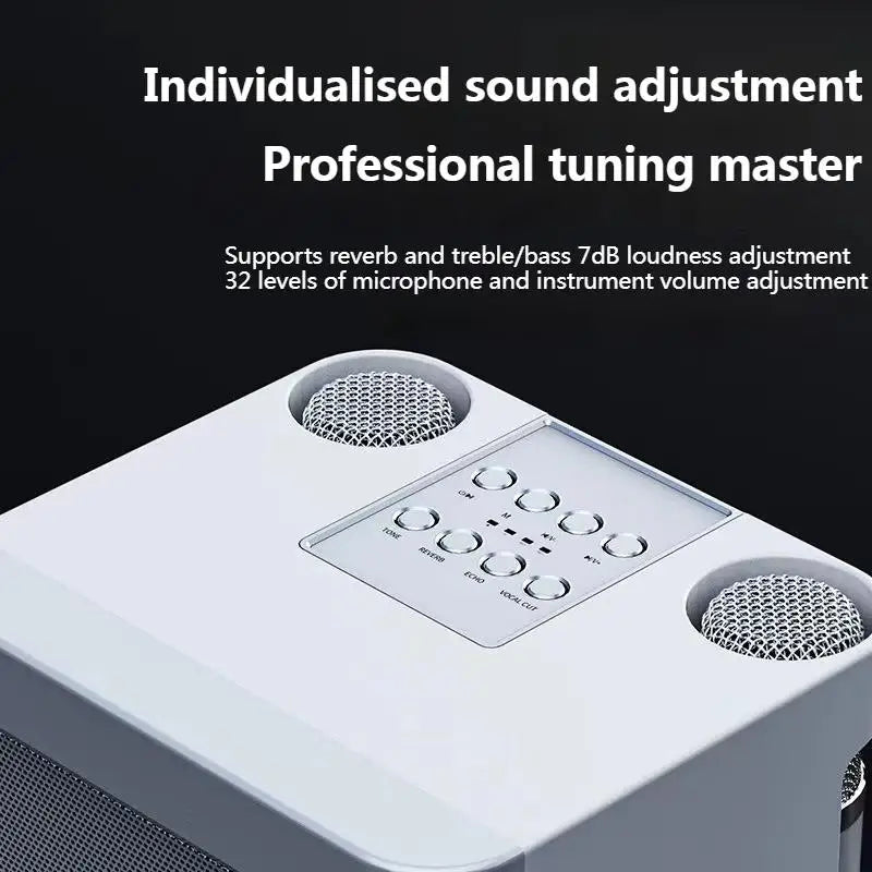 10W Powerful Wireless Portable Dual Microphone