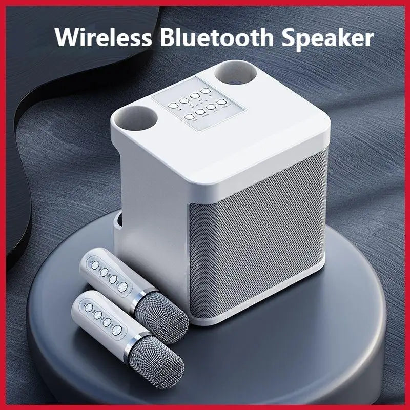 10W Powerful Wireless Portable Dual Microphone